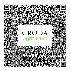 OD制剂架构体系的兴起：创新还是幻象？Cresmer™ OD SOL 重塑OD制剂高效开发新路径