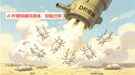 新发现颠覆认知!d-柠檬烯长效控虫秘密,藏在″肢体致残″里
