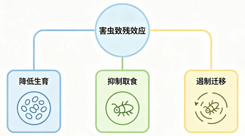 新发现颠覆认知!d-柠檬烯长效控虫秘密,藏在″肢体致残″里