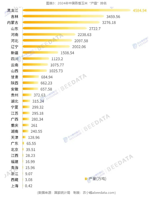 2025年中国玉米产量首次突破3亿吨大关，创历史新高