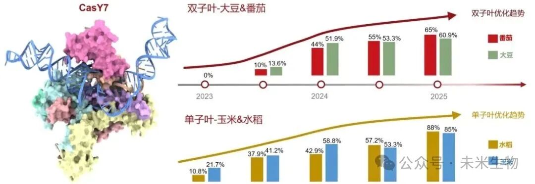 未米生物获批国内首个糯性改良玉米基因编辑安全证书