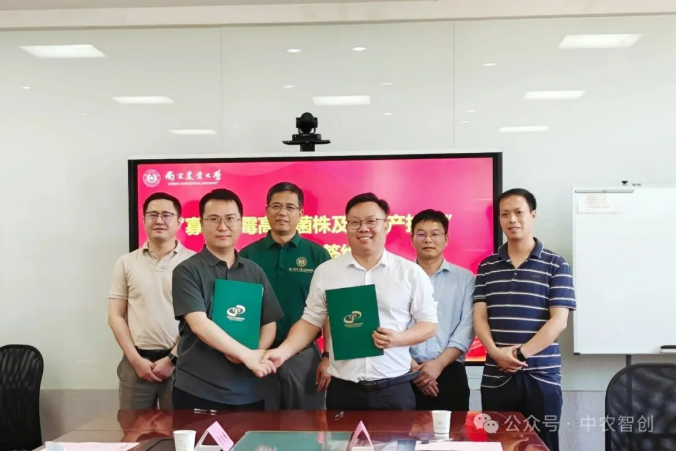 南京农大″寡雄腐霉″技术成果转化，三家企业承接启程产业化