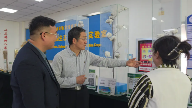 重磅签约‖石河子大学&″黑能量增产肥″联合启动棉花试验研究项目