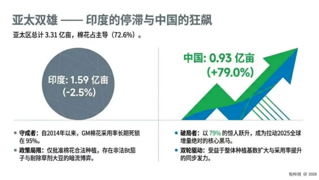 全球转基因作物版图加速更迭：复合性状成种子"出厂标配"，技术竞争已不仅仅是面积扩张