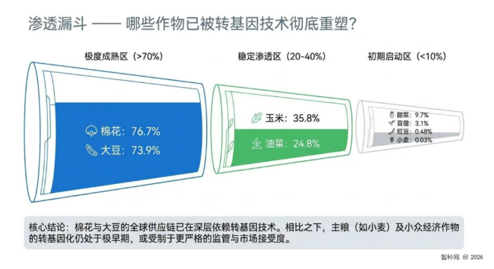 全球转基因作物版图加速更迭：复合性状成种子"出厂标配"，技术竞争已不仅仅是面积扩张