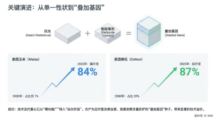 全球转基因作物版图加速更迭：复合性状成种子"出厂标配"，技术竞争已不仅仅是面积扩张