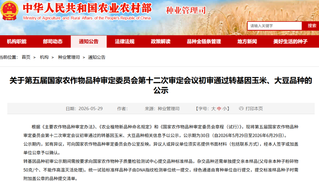 新一批74个转基因玉米/大豆初审公示，涉及8种转化体，大北农独占62%
