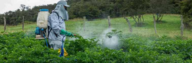 美国佛蒙特州率先立法禁用百草枯：暴露者帕金森病风险高出250%
