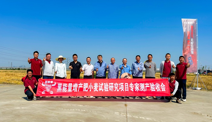 黑能量®助小麦增产9.46%，南京农大等专家现场见证抗逆增产实效