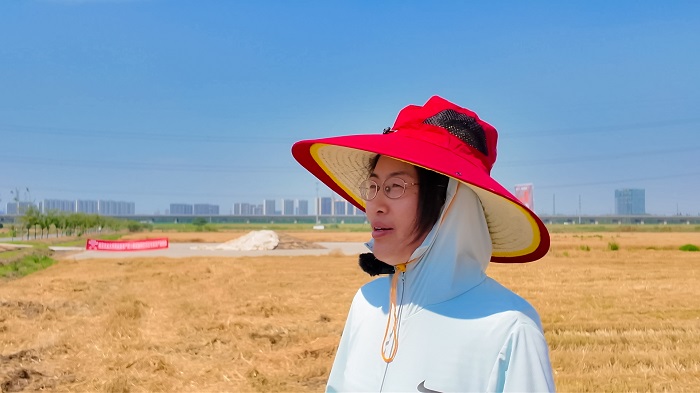黑能量®助小麦增产9.46%，南京农大等专家现场见证抗逆增产实效