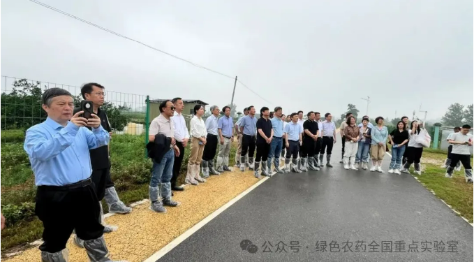 柑橘溃疡病田间防效超83%!贵州大学创新生物药剂截短侧耳素试验效果显著