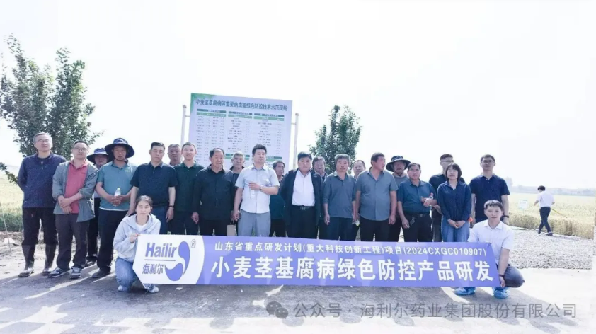 海利尔省重点研发计划小麦茎基腐病绿色防控项目示范现场观摩会成功举办