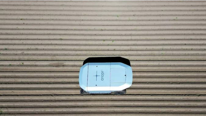 荷兰农业科技企业Cropr 发布新款 AI 激光除草机器人