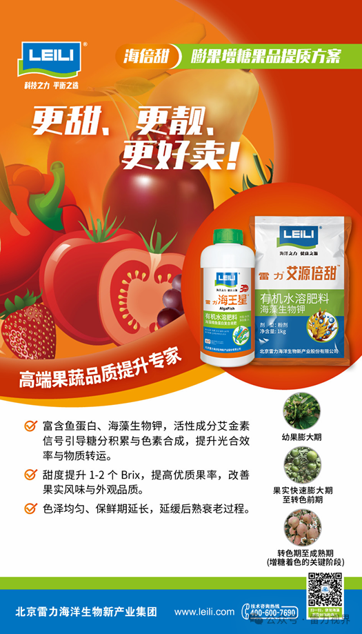 雷力海倍甜：海王星+艾源倍甜基于生物刺激剂的膨果增糖与果品提质方案