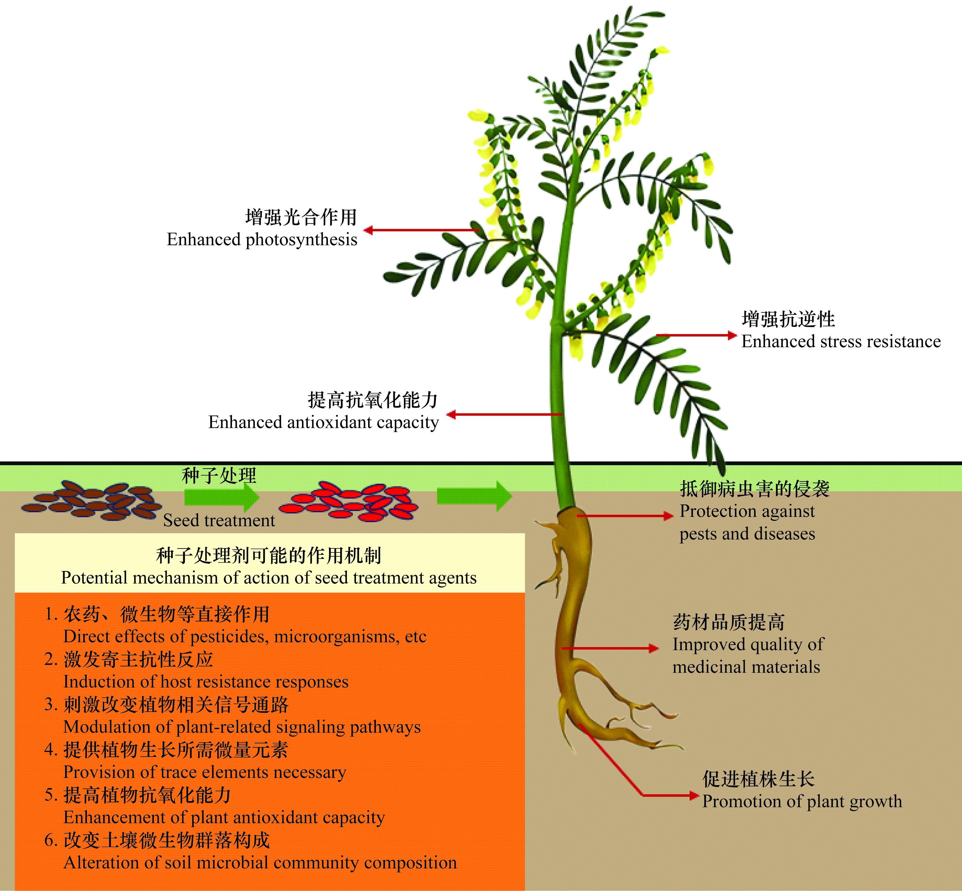 中药材种子处理剂农药登记现状