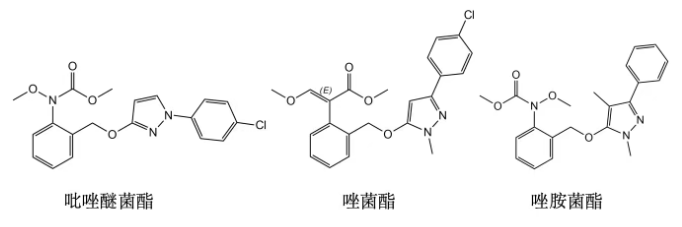 唑胺菌酯:沈阳科创研发的甲氧基氨基甲酸酯类杀菌剂
