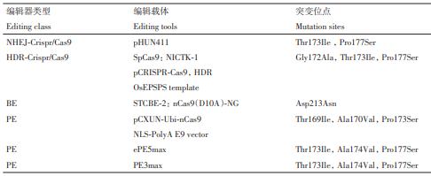 基因编辑技术在水稻抗除草剂种质创新中的应用：抗ALS、ACCase、草甘膦、草铵膦、HPPD……