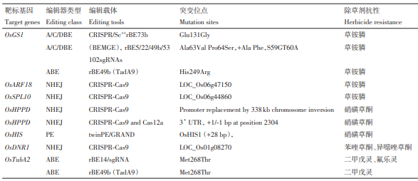 基因编辑技术在水稻抗除草剂种质创新中的应用：抗ALS、ACCase、草甘膦、草铵膦、HPPD……