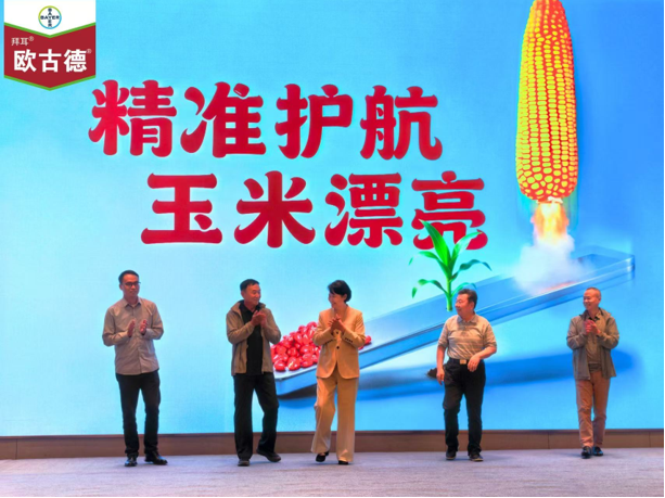 7年中国验证,玉米田″五边形战士″拜耳种衣剂欧古德®全球上市