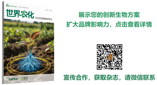 百年之际重磅焕新!戴商高士集团启用″DSG″新Logo