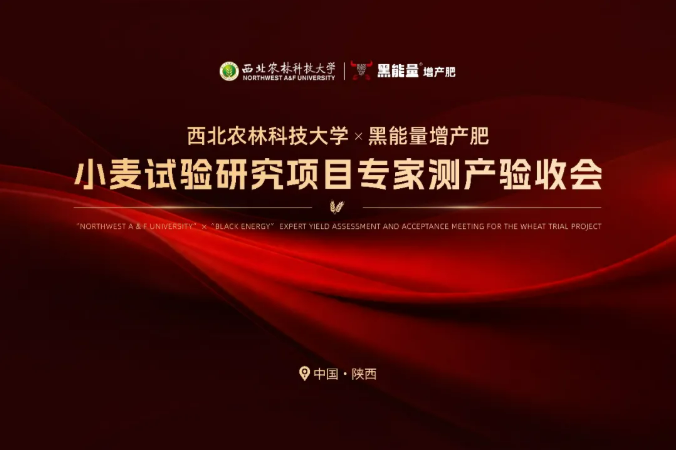增产10.6%!西北农林科技大学&黑能量增产肥小麦试验研究项目专家测产验收会!