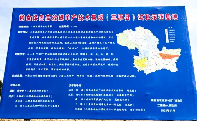 增产10.6%!西北农林科技大学&黑能量增产肥小麦试验研究项目专家测产验收会!