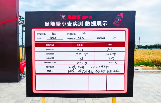 增产10.6%!西北农林科技大学&黑能量增产肥小麦试验研究项目专家测产验收会!
