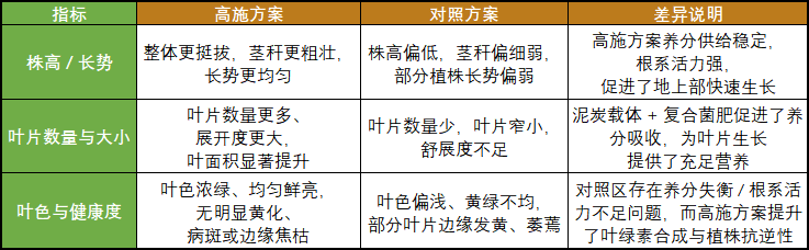 从北欧原生高位藓土、俄原生低位泥炭到中国田间：″三元复合泥炭″如何一招解决板结、污染、病害？
