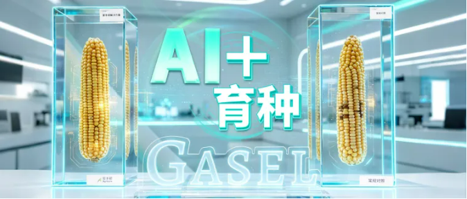 AI 重构育种新范式:先正达的″精准育种″新叙事