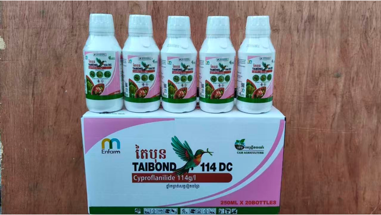泰禾股份专利产品凌翘®出海,首批制剂产品抵达柬埔寨