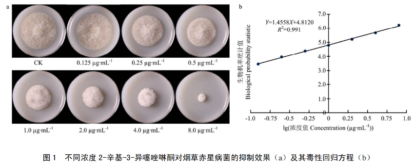 防效比肩菌核净,双重机制加持——2-辛基-3-异噻唑啉酮成烟草赤星病绿色防控新选项