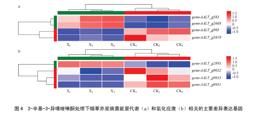 防效比肩菌核净,双重机制加持——2-辛基-3-异噻唑啉酮成烟草赤星病绿色防控新选项