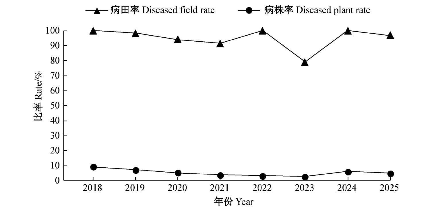 中国小麦茎基腐病年发生面积超667万hm2，产量损失率达10.69%～51.57%