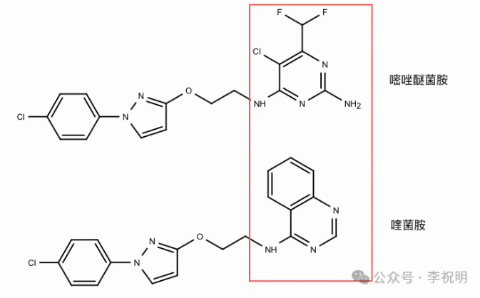 新型嘧啶胺类杀菌剂—嘧唑醚菌胺