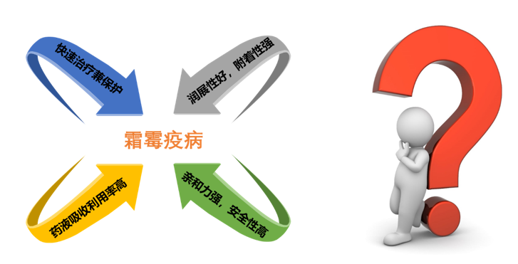 雨季卵菌病害连年爆发，千万亩作物减产难题该如何破解？