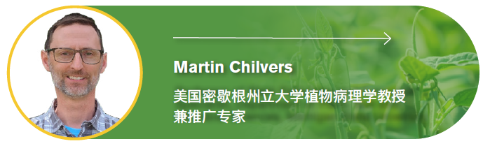 年产量暴跌21万吨!防控大豆红冠腐病,听听专家怎么说
