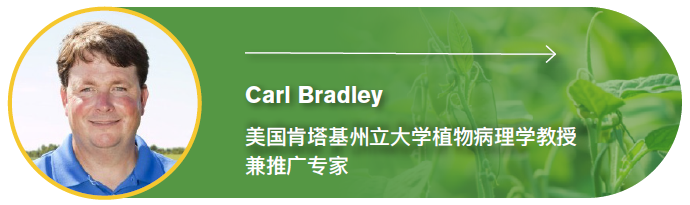年产量暴跌21万吨!防控大豆红冠腐病,听听专家怎么说