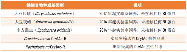 全球首个五Bt蛋白叠加大豆的巴西防效实测,拜耳作物科学开启Bt技术新一轮迭代