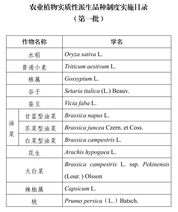 实质性派生品种（EDV）制度正式实施，中国作物育种进入"原始创新"时代