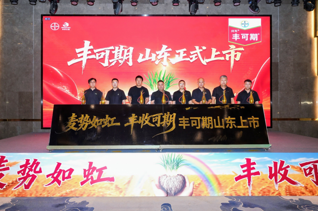 拜耳丰可期®种衣剂正式上市：三元复配新方案，防虫防病促分蘖