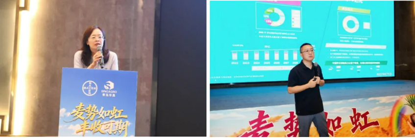 拜耳丰可期®种衣剂正式上市：三元复配新方案，防虫防病促分蘖