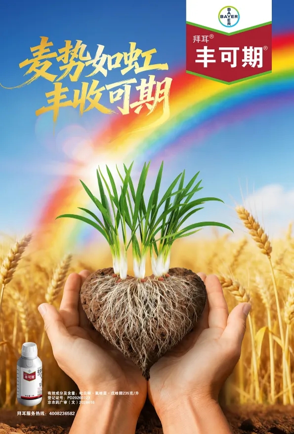 拜耳丰可期®种衣剂正式上市：三元复配新方案，防虫防病促分蘖