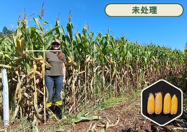 聚焦新分子Pterica®：Agrobiomics 推出全新种子处理生物刺激剂Resilya®