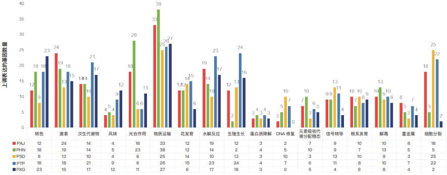 一场关于″信号″的农业革命——TBIO植优力十年功能肽研究与植物分子调控探索