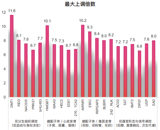 一场关于″信号″的农业革命——TBIO植优力十年功能肽研究与植物分子调控探索