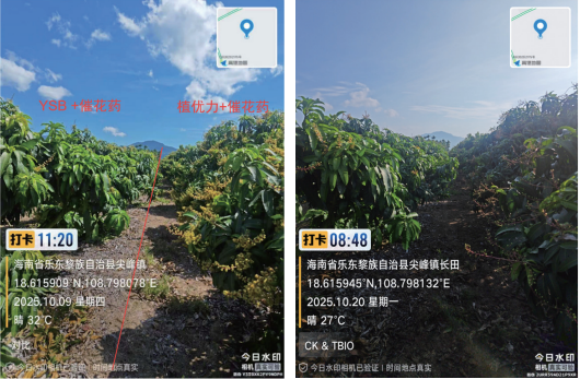 一场关于″信号″的农业革命——TBIO植优力十年功能肽研究与植物分子调控探索