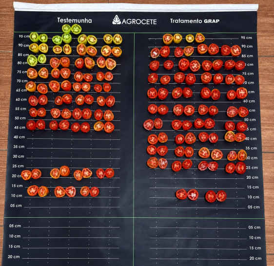 image.png 5年研发,127种配方筛选——Agrocete新品将必需营养与L-氨基酸结合,专为灌浆期打造″养分效率引擎″