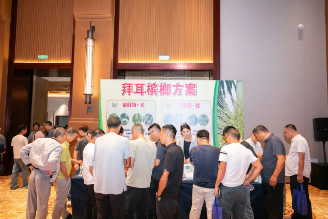 拜耳"四大天王"入局海南槟榔：300万亩"致富树"黄化病困局迎系统解法