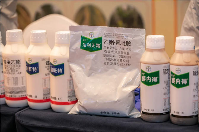 拜耳"四大天王"入局海南槟榔：300万亩"致富树"黄化病困局迎系统解法