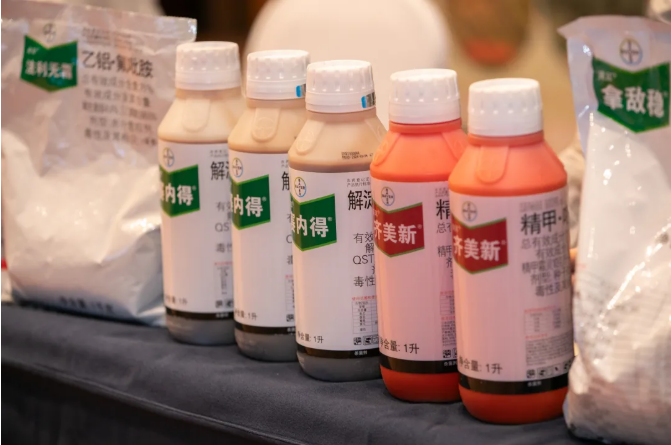 拜耳"四大天王"入局海南槟榔：300万亩"致富树"黄化病困局迎系统解法
